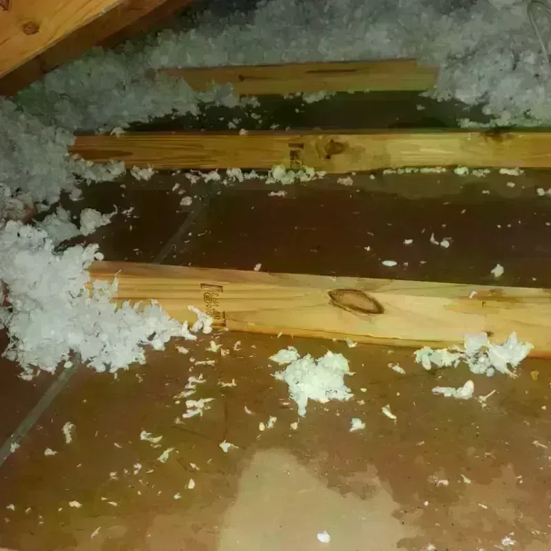 Attic Water Damage in Steamboat Springs, CO