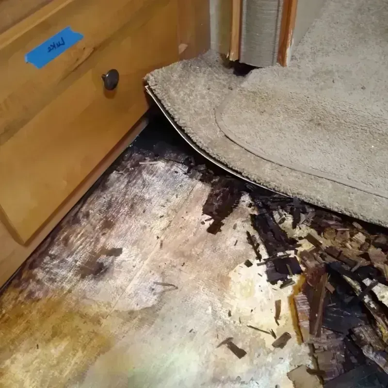 Wood Floor Water Damage in Steamboat Springs, CO